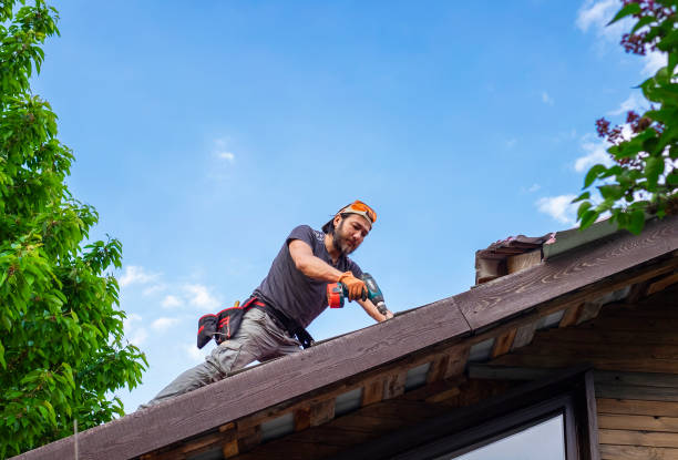 Best Roof Leak Repair  in Electra, TX