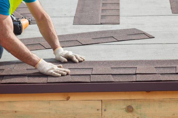Best Roof Moss and Algae Removal  in Electra, TX